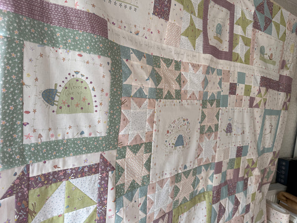 NEW Slow & Steady - Anni Downs -  Block of the Month Quilt Subscription - 12 Month Subscription