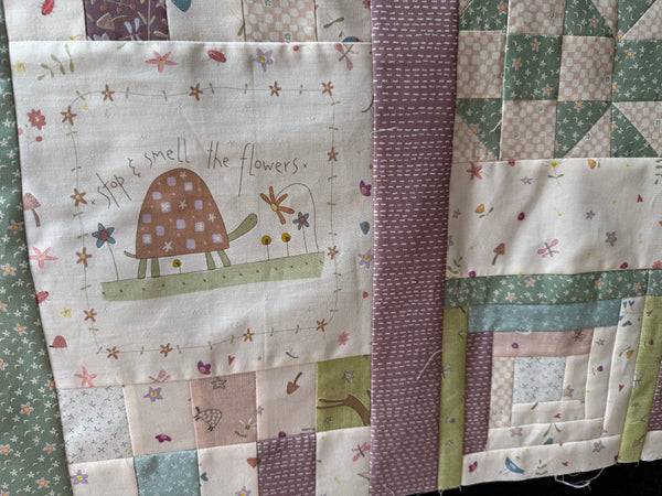 NEW Slow & Steady - Anni Downs -  Block of the Month Quilt Subscription - 12 Month Subscription